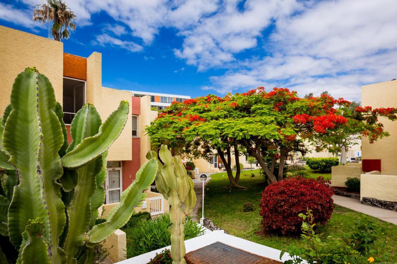 Bungalow Costa Adeje Cortijo 4-6 Πλάγια ντε λας Αμέρικας Εξωτερικό φωτογραφία